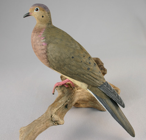 dove